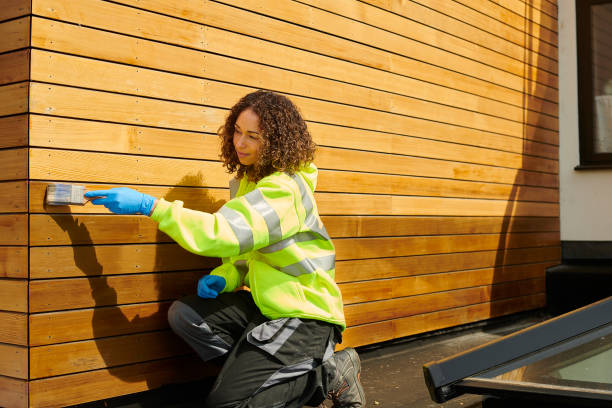 Best Custom Siding Design  in Bluewell, WV
